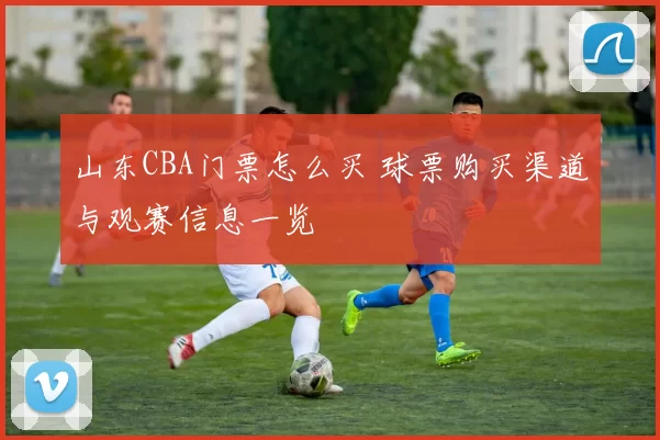 山东CBA门票怎么买 球票购买渠道与观赛信息一览