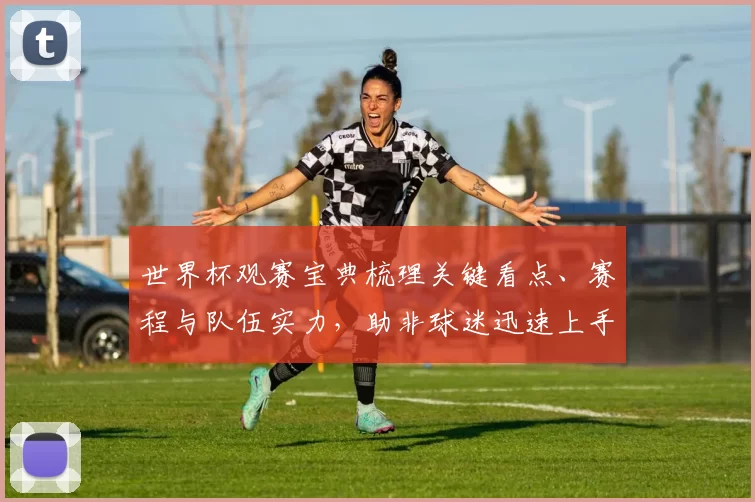 世界杯观赛宝典梳理关键看点、赛程与队伍实力，助非球迷迅速上手