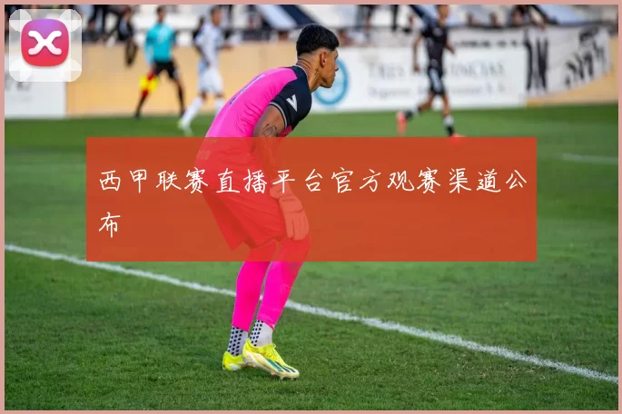 西甲联赛直播平台官方观赛渠道公布